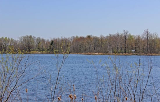 5.85 Acres with Private Lake Access – Remus, MI