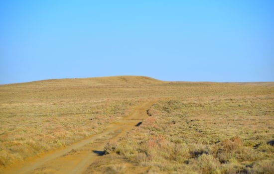 40 Acres on BLM Road 3203