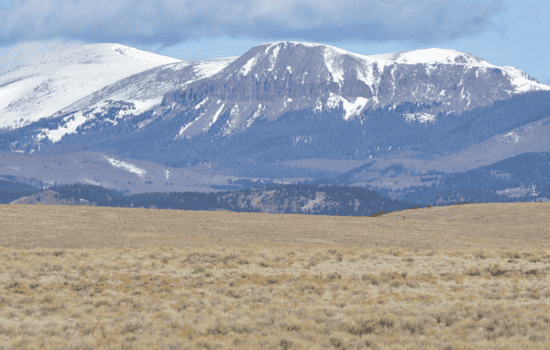 Majestic 160 Acres bordering over 1 million of acres of public land