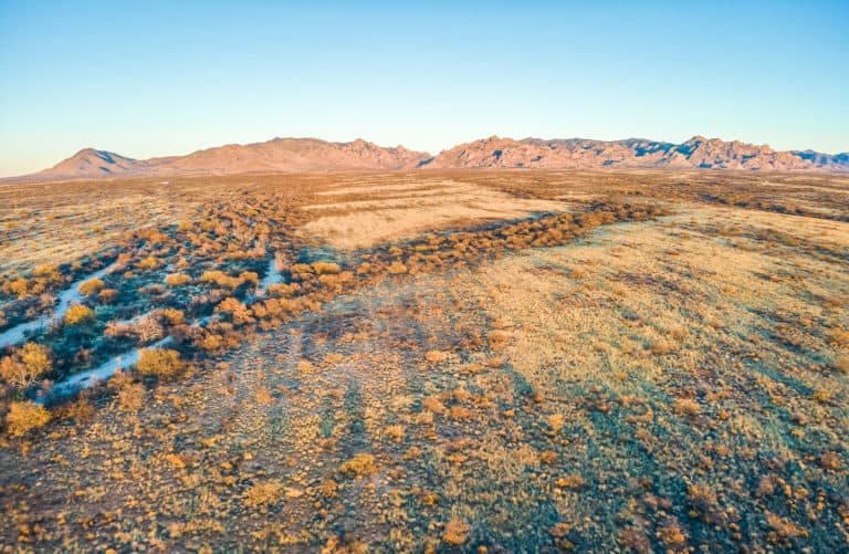 44 Acres in Dragoon Mountain Ranch Horizon Land Sales