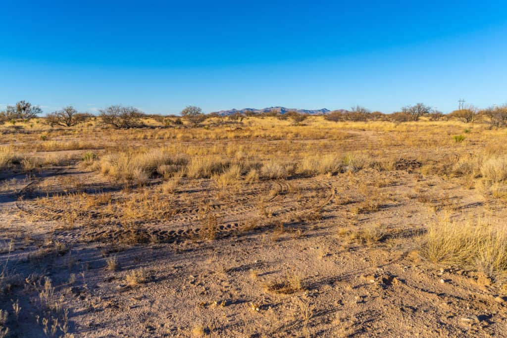 44 Acres in Dragoon Mountain Ranch Horizon Land Sales