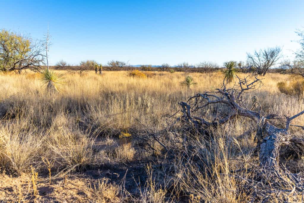 44 Acres in Dragoon Mountain Ranch Horizon Land Sales