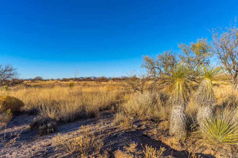 44 Acres in Dragoon Mountain Ranch Horizon Land Sales