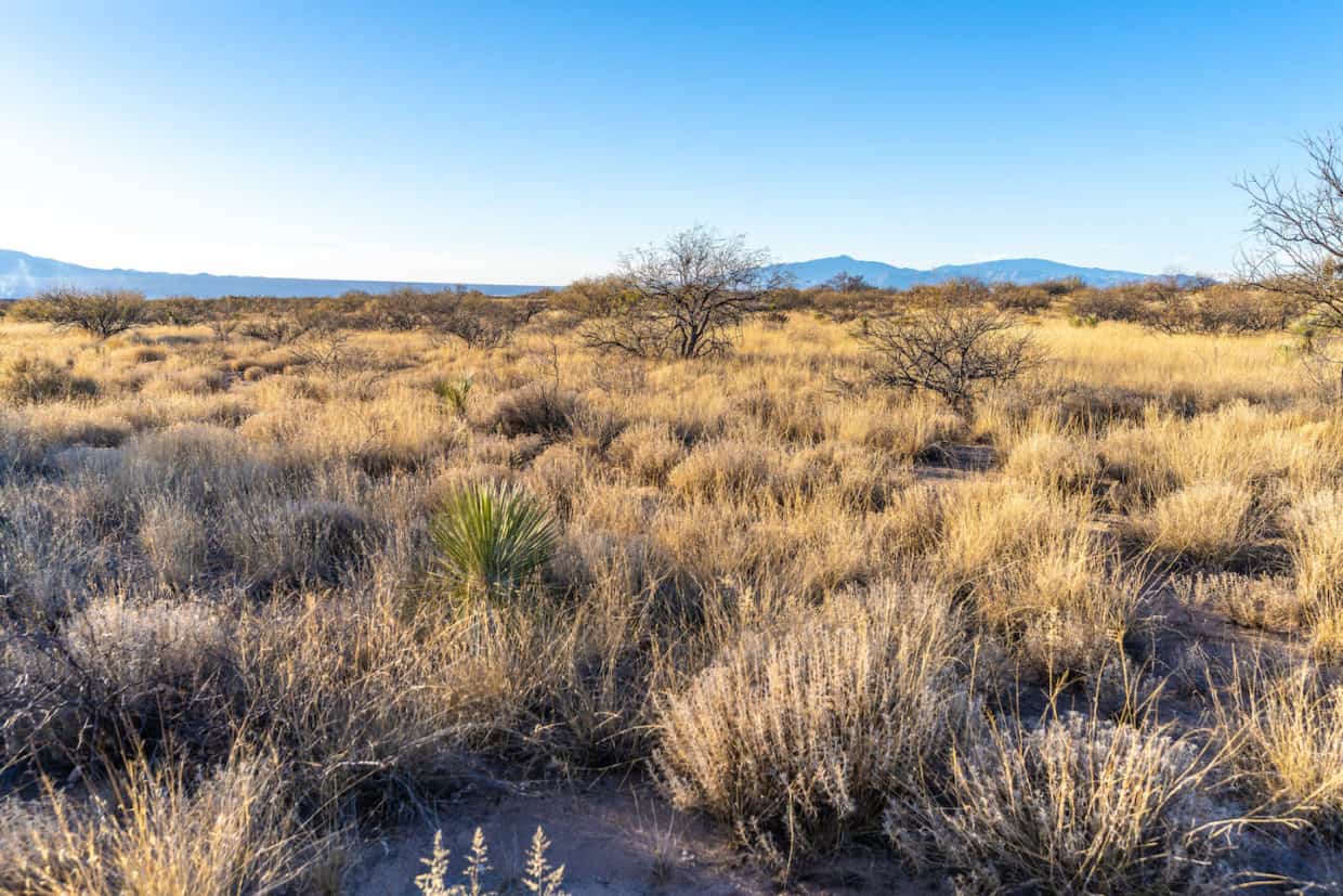 44 Acres in Dragoon Mountain Ranch Horizon Land Sales