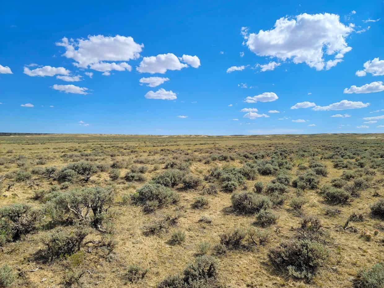 40 Acres of Prime Hunting Land Horizon Land Sales