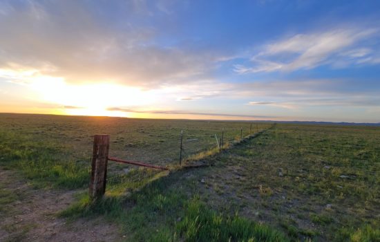 Laramie River Ranch – Lot #52, Fenced on West Side