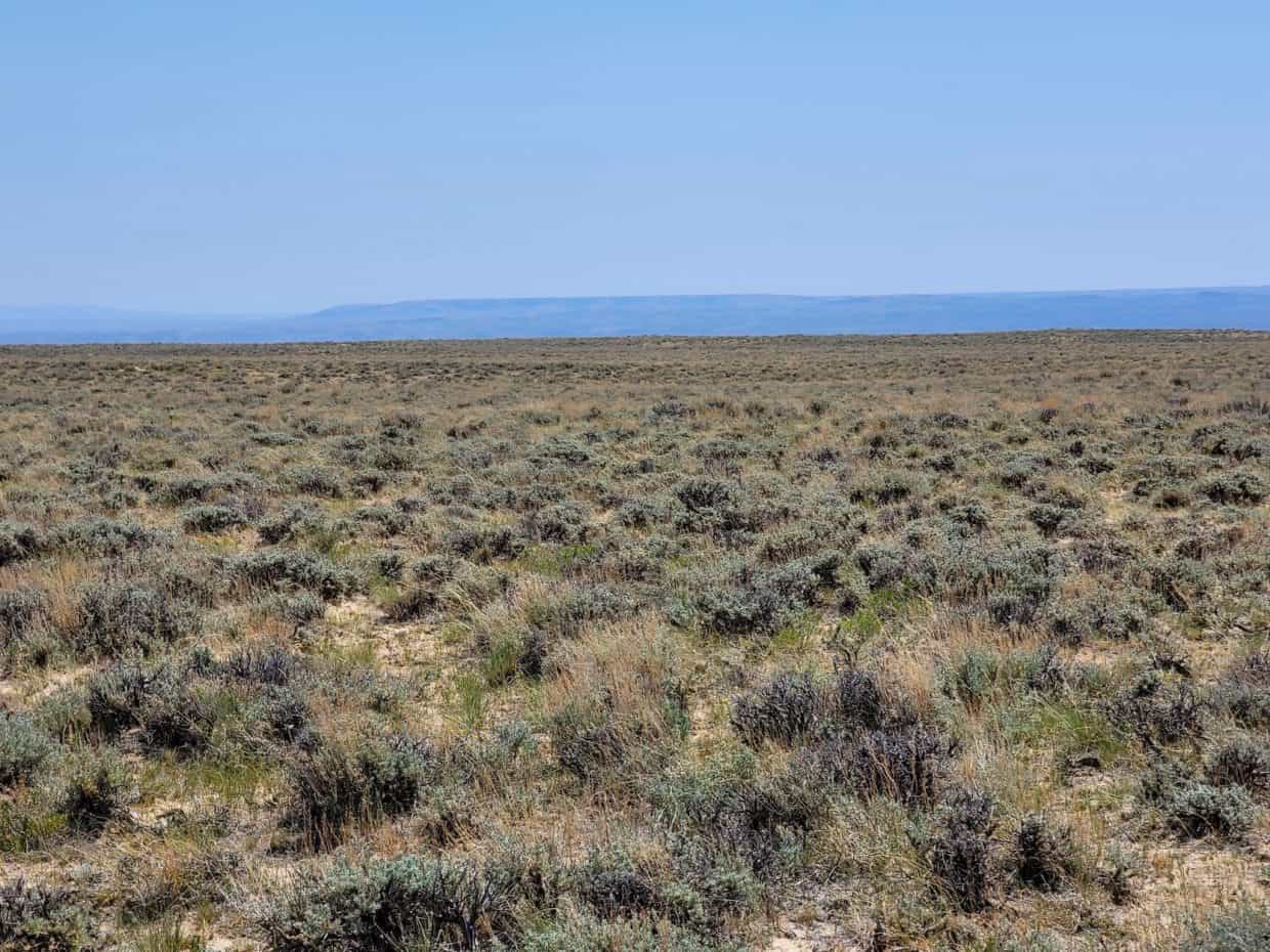 40 Acres Bordering over 1 Million Acres of BLM Land Horizon Land Sales