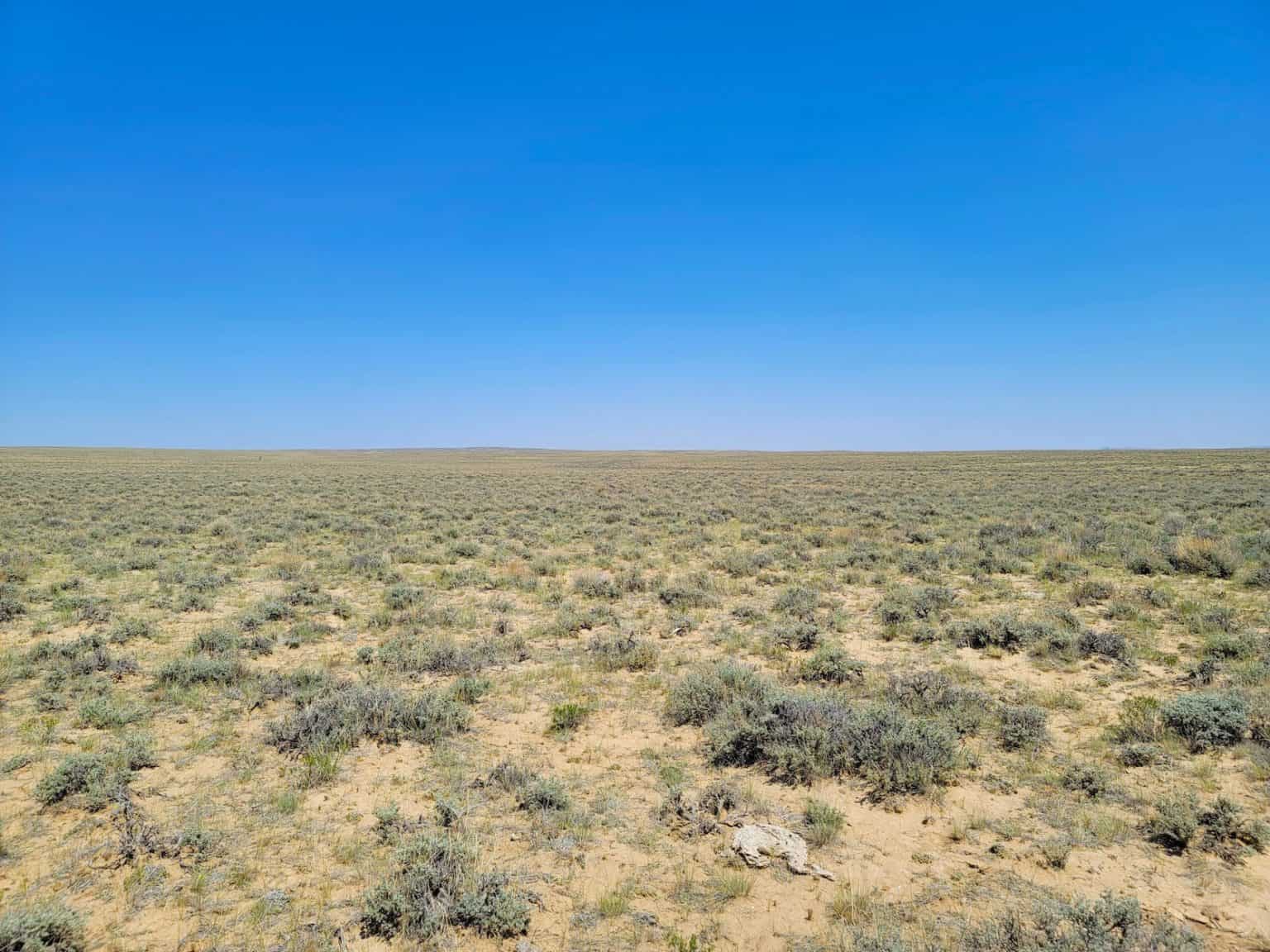 40 Acres Bordering over 1 Million Acres of BLM Land Horizon Land Sales