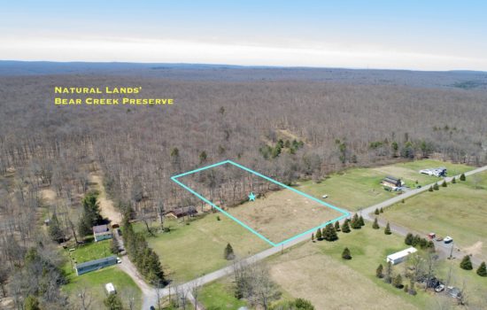 2.46 Acres with Creek Bordering Over Acres of Preservation Land