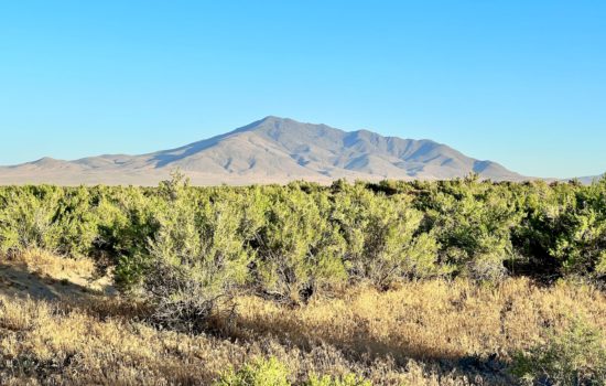 Gigantic 604 Acre Property Bordering over 1 MILLION Acres of BLM Land