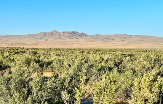 161.05 Acres Bordering over 1 MILLION Acres of BLM Land