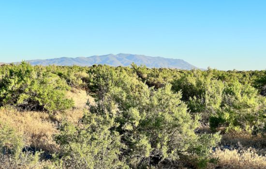 80.51 Acres Bordering over 1 MILLION Acres of BLM Land