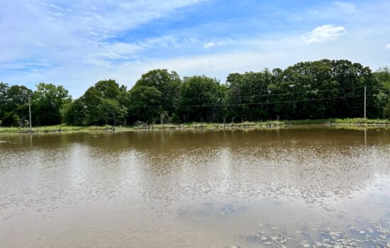 10 Acres with a Pond and Power Available