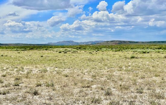 40 Acres with Dirt Road Access Bordering over 1,000 Acres of BLM Land