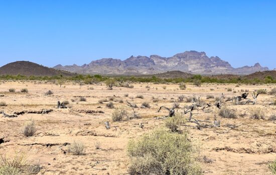 30.03 Acres Near Phoenix Bordering Over 1 MILLION Acres of BLM and State Trust Lands
