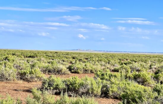 160 Acres Bordering over 1 MILLION Acres of BLM Land – Wamsutter, WY