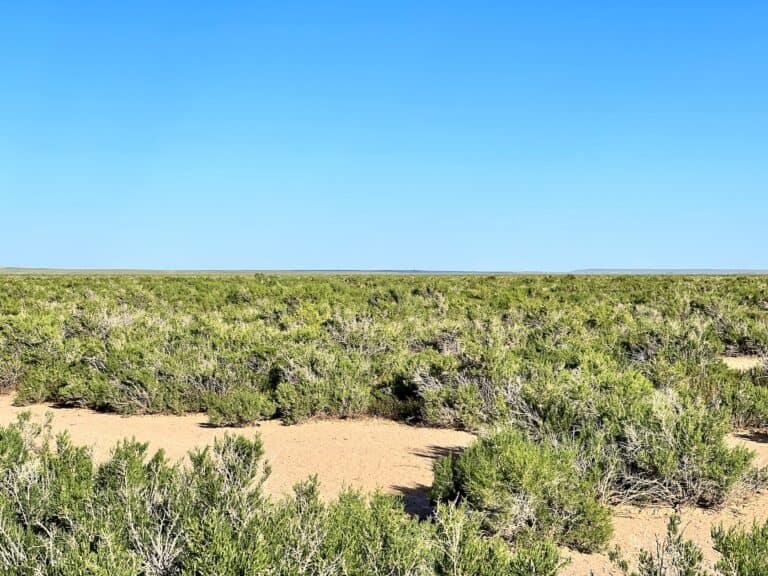 160 Acres Bordering over 1 MILLION Acres of BLM Land Wamsutter, WY
