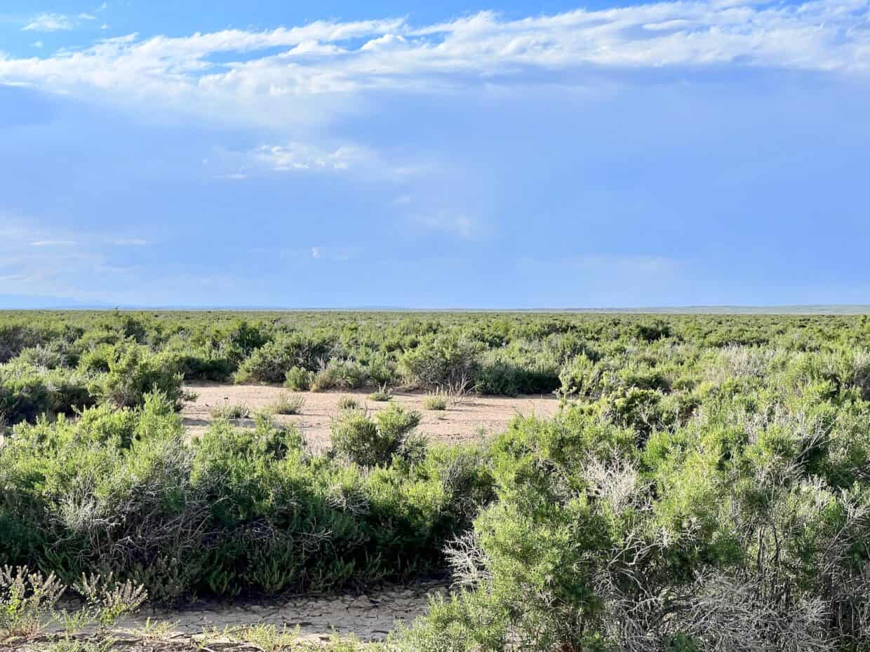 160 Acres Bordering over 1 MILLION Acres of BLM Land Wamsutter, WY