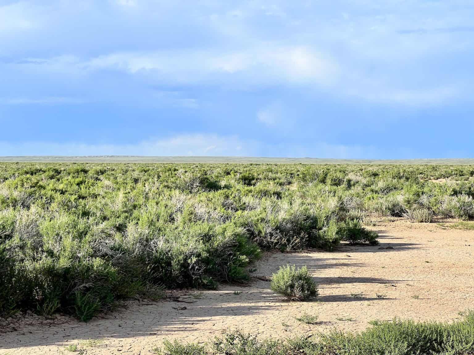 160 Acres Bordering over 1 MILLION Acres of BLM Land Wamsutter, WY