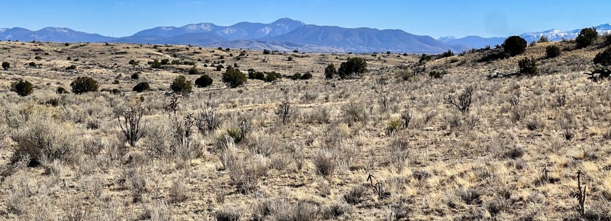 20.08 Acres with Power in Windmill Ranches