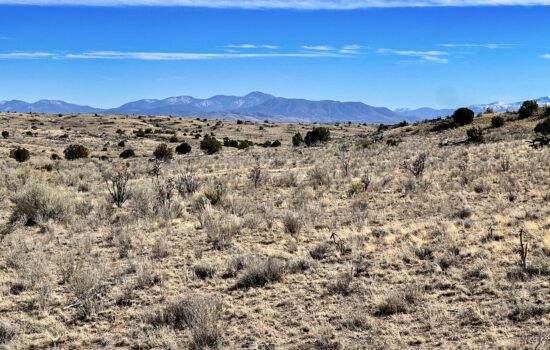 20.08 Acres with Power in Windmill Ranches