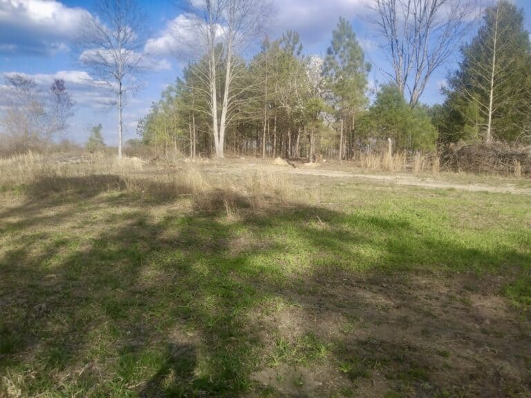 20 Acres with Power, Well, Septic, and Creek Frontage Flat Rock, AL
