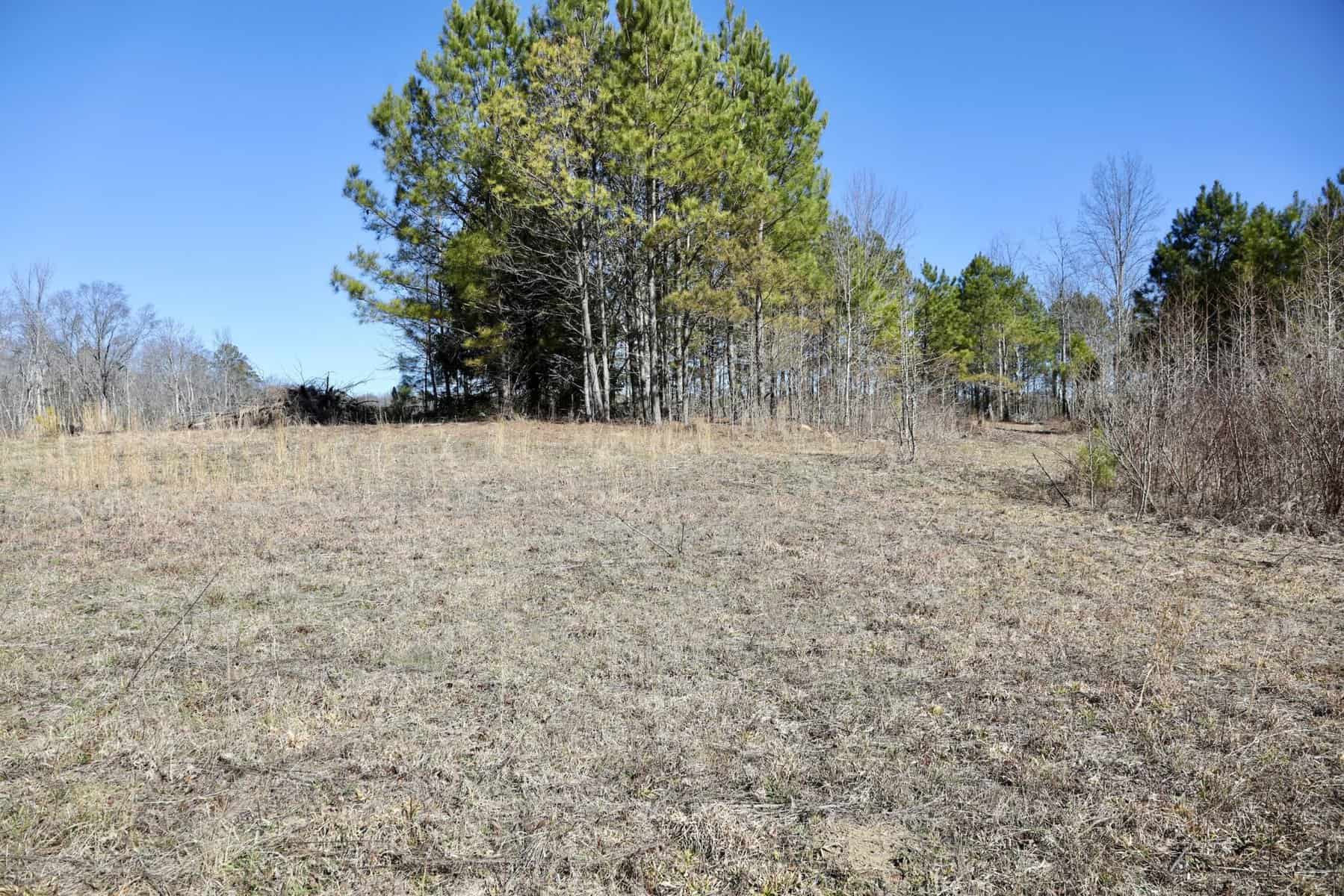 20 Acres with Power, Well, Septic, and Creek Frontage Flat Rock, AL