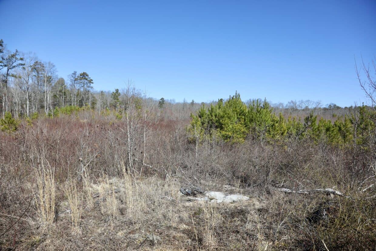 20 Acres with Power, Well, Septic, and Creek Frontage Flat Rock, AL