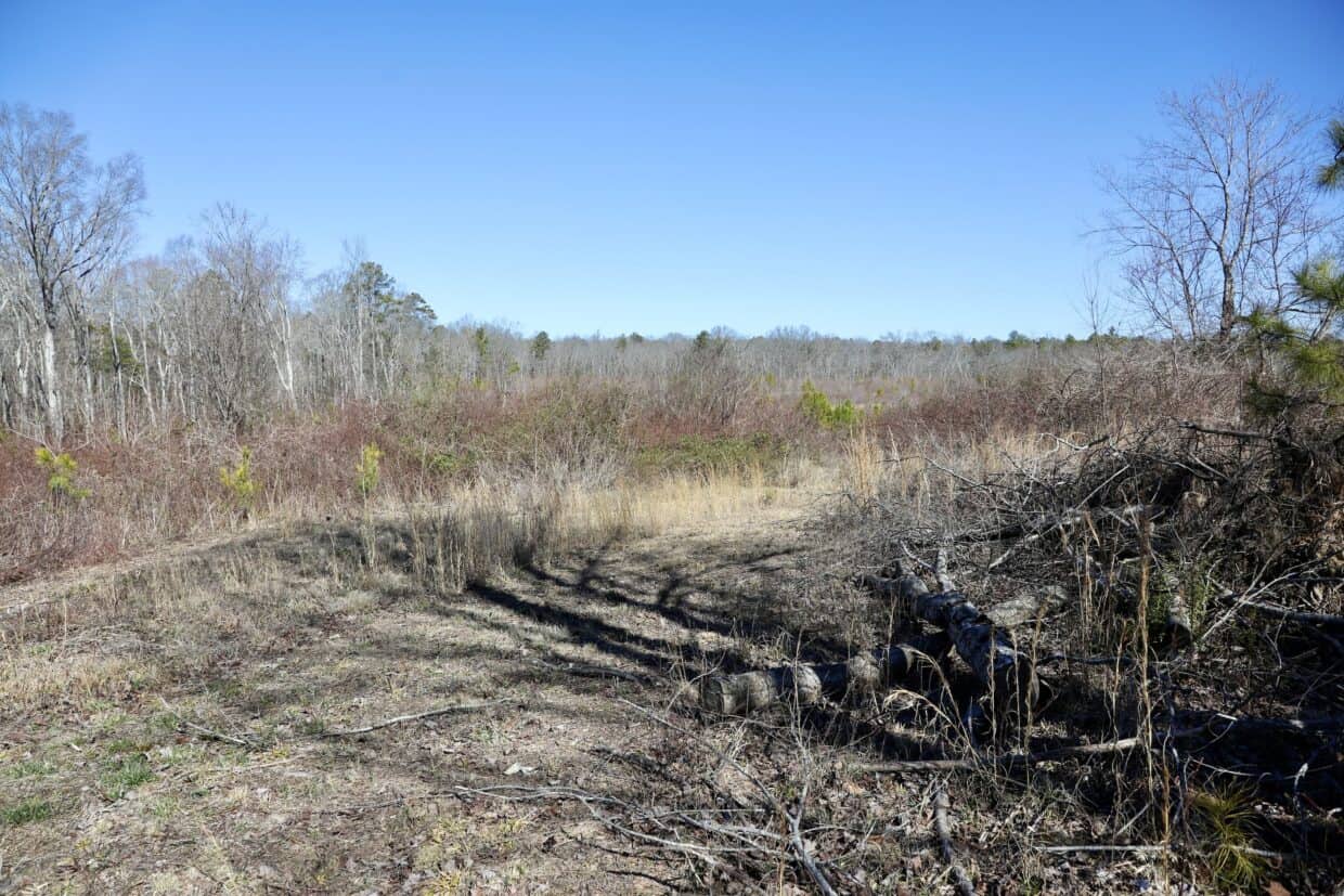 20 Acres with Power, Well, Septic, and Creek Frontage Flat Rock, AL