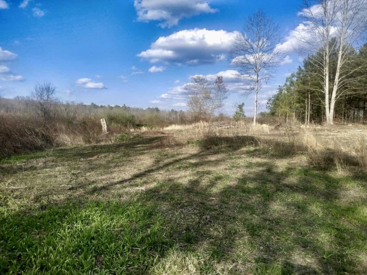 20 Acres with Power, Well, Septic, and Creek Frontage Flat Rock, AL