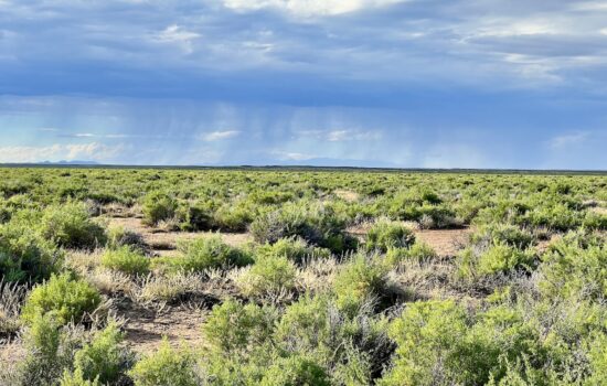 80 Acres Bordering over 1 MILLION Acres of BLM Land – Wamsutter, WY