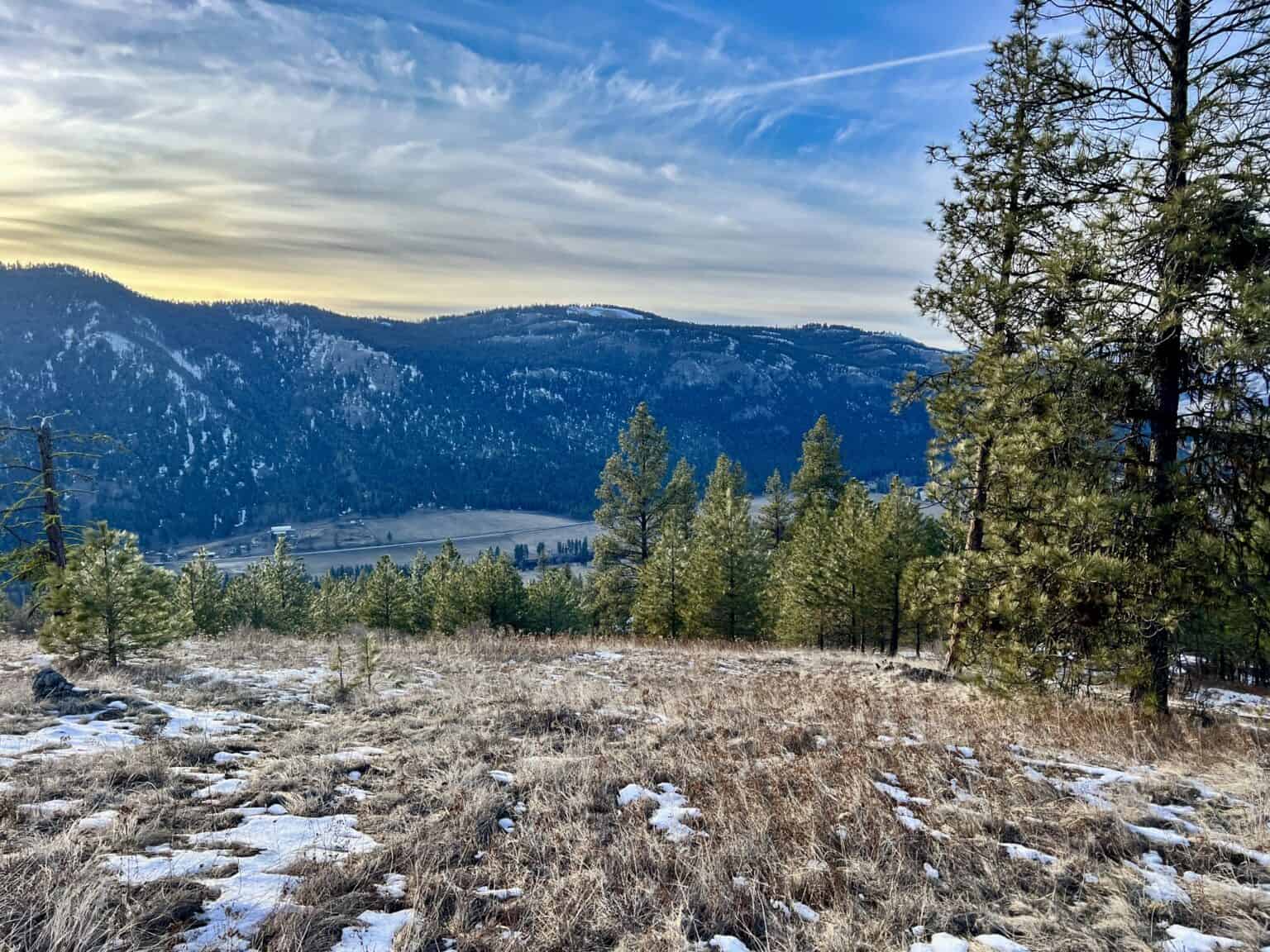 20 Acres with Kettle River Views Ferry County, WA Horizon Land Sales