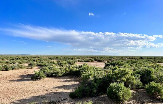 40 Acres Bordering over 1 MILLION Acres of BLM Land – Wamsutter, WY