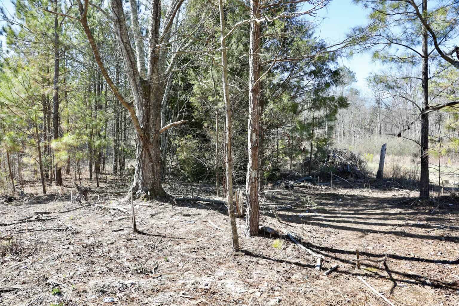 20 Acres with Power, Well, Septic, and Creek Frontage Flat Rock, AL