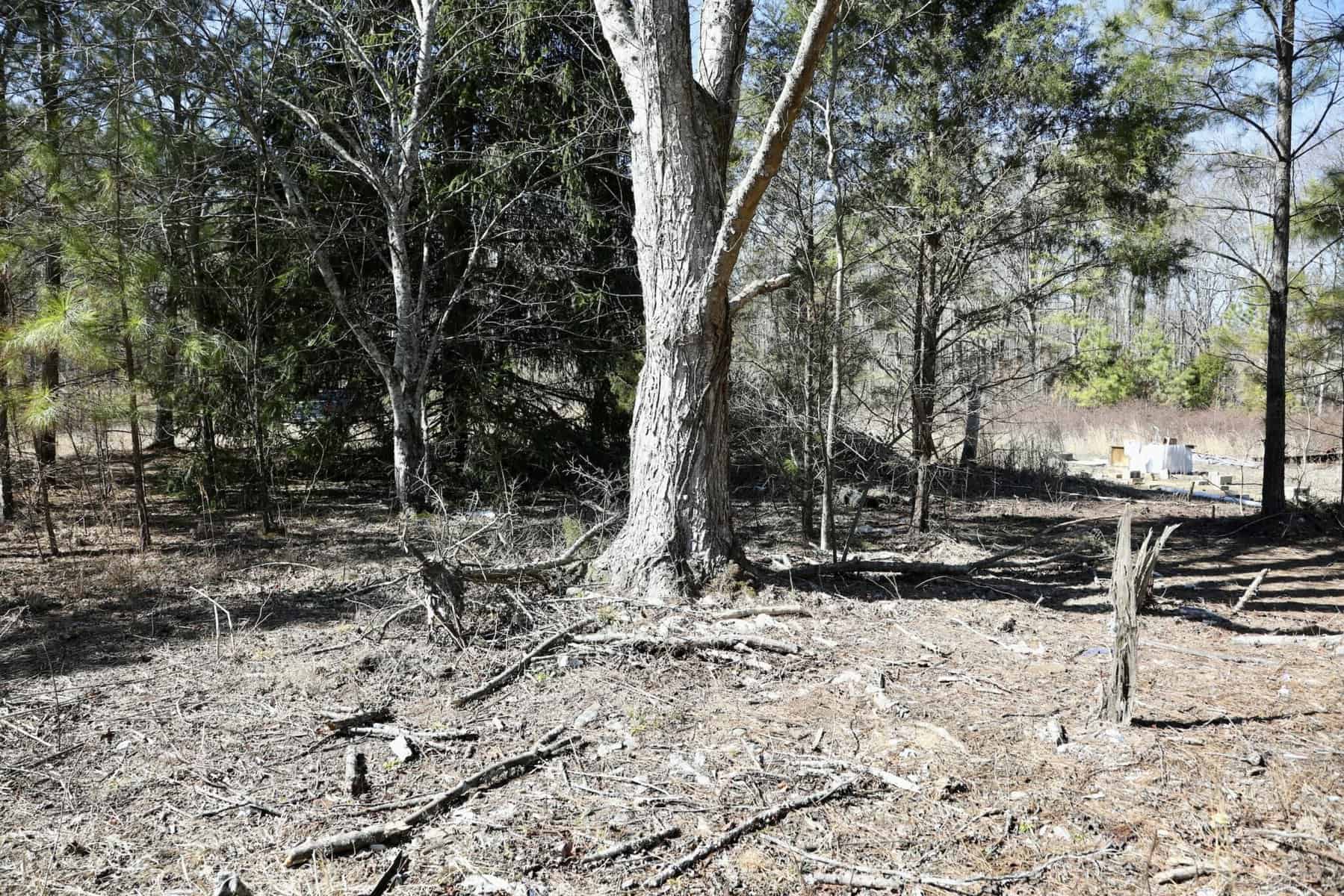 20 Acres with Power, Well, Septic, and Creek Frontage Flat Rock, AL