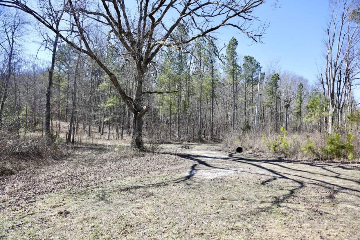 20 Acres with Power, Well, Septic, and Creek Frontage Flat Rock, AL