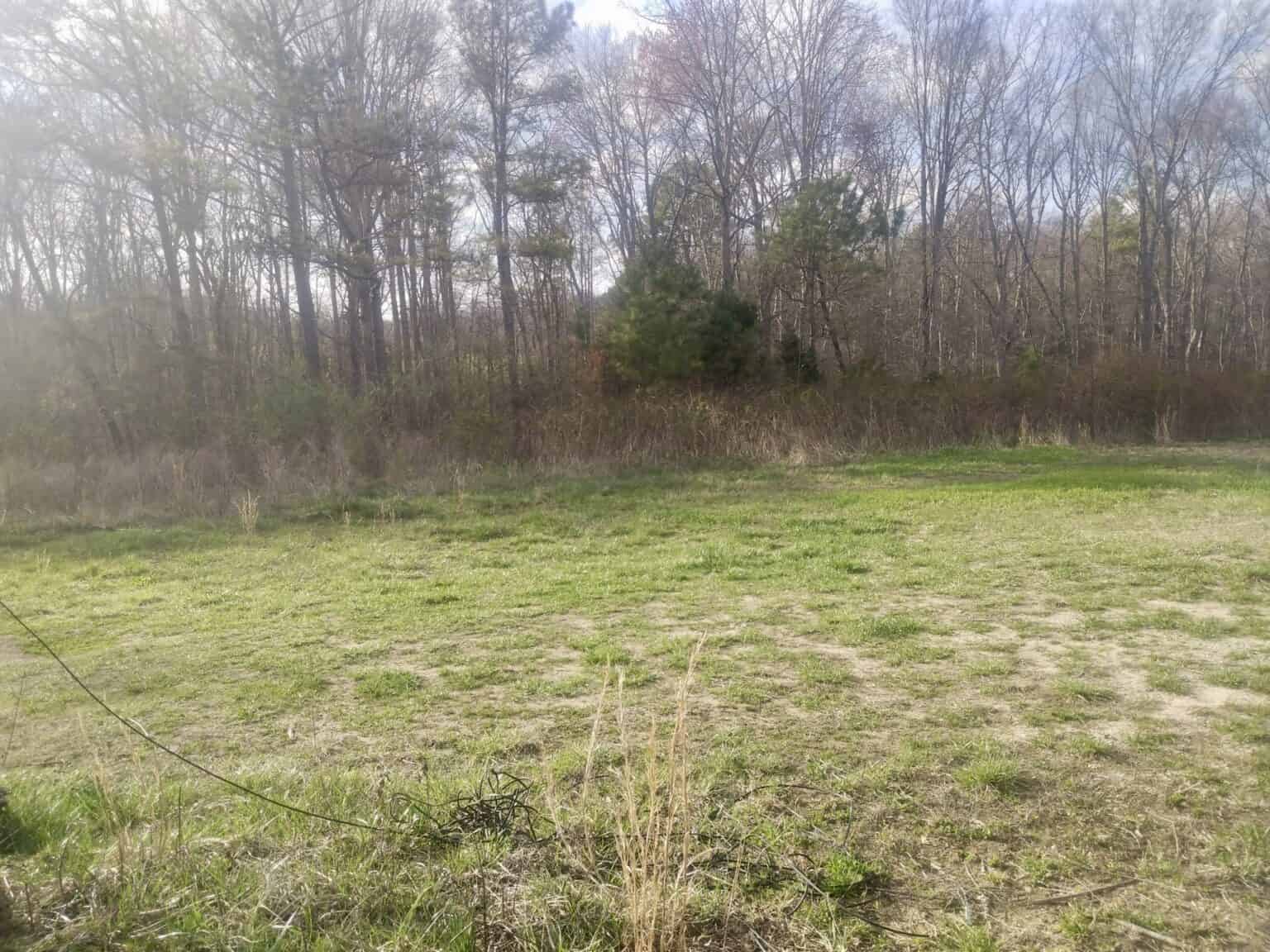20 Acres with Power, Well, Septic, and Creek Frontage Flat Rock, AL