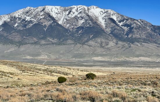 40.03 Acres with Magnificent Pilot Mountain Views – Elko County, NV