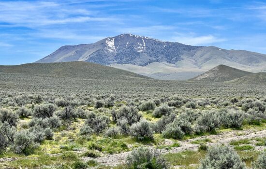 163.14 Acres at the Base of Blue Mountain – Humboldt County, NV