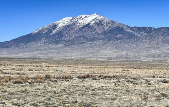 40.14 Acres with Pilot Mountain Views, Elko County, NV