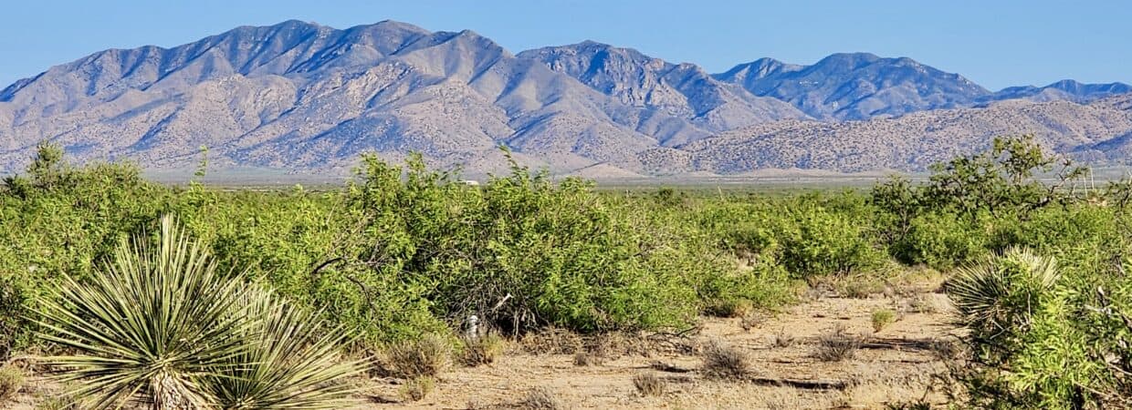 40 Acres with Power and Mountain Views – Cochise County, AZ