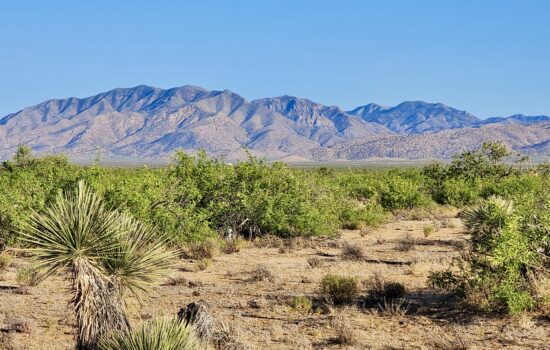 40 Acres with Power and Mountain Views – Cochise County, AZ