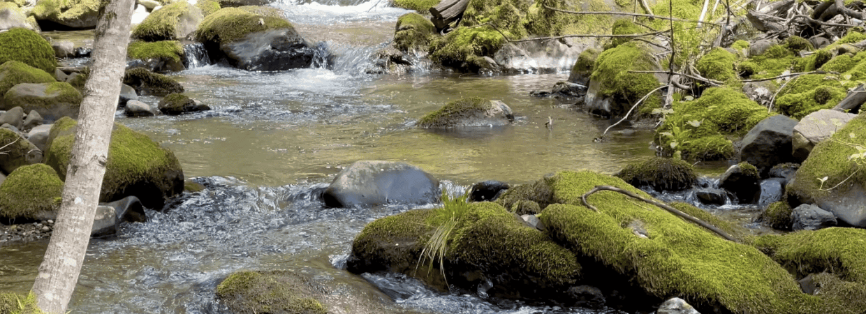 4.5 Acres with Year-Round Creek Frontage – Placer County, CA