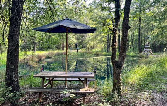 7.25 Wooded Acres with Multiple Utility Hookups, Two Sheds, and a Pond – Houston County, TX