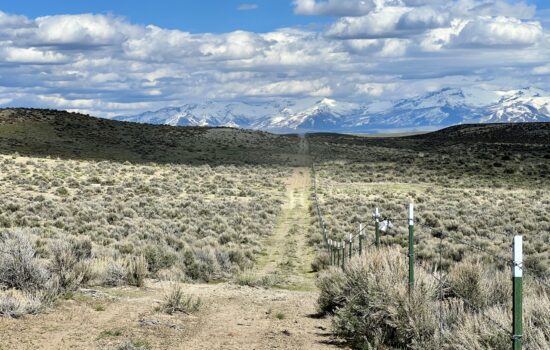40 Acres with Dirt Road Access – Elko, NV