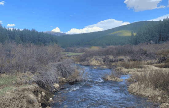 Creekfront Lot Surrounded by National Forest – Leadville, CO