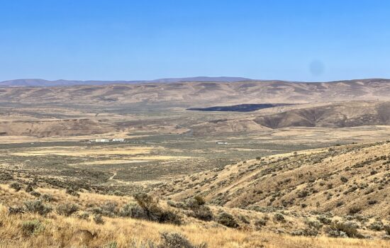 41.01 Acres in Yakima Ranches with Septic and Mountain Views – Yakima, WA