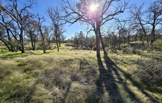 2.31 Acres with Power in Mykleoaks Ranches – Mariposa, CA