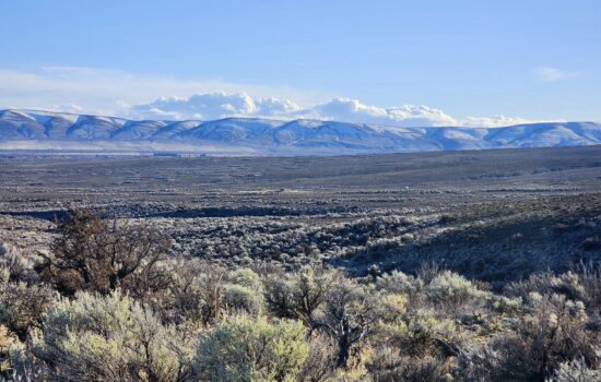 9.64 Acres with Seasonal Stream and Mountain Views
