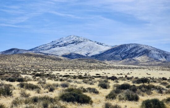 39.15 Acres with Magnificent Views of Blue Mountain